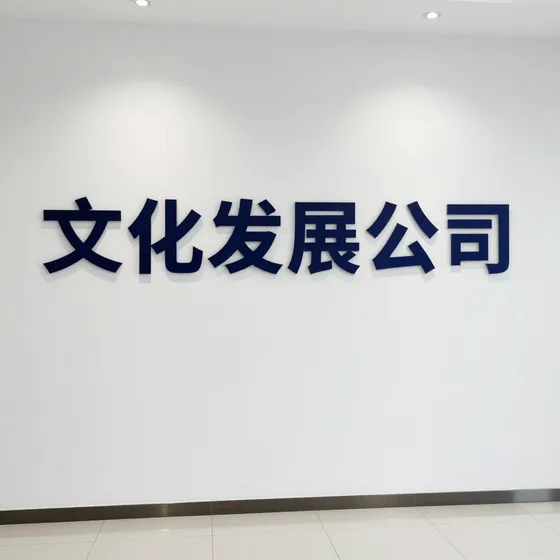 文化发展公司