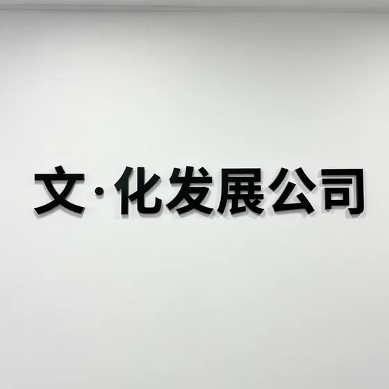 文化发展公司