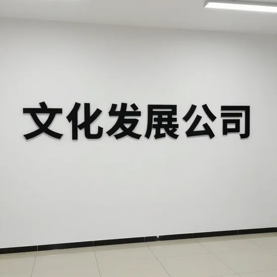 文化发展公司